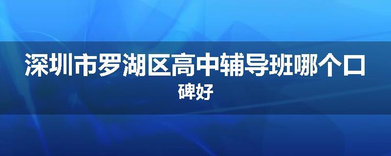 深圳市罗湖区高中辅导班哪个口碑好