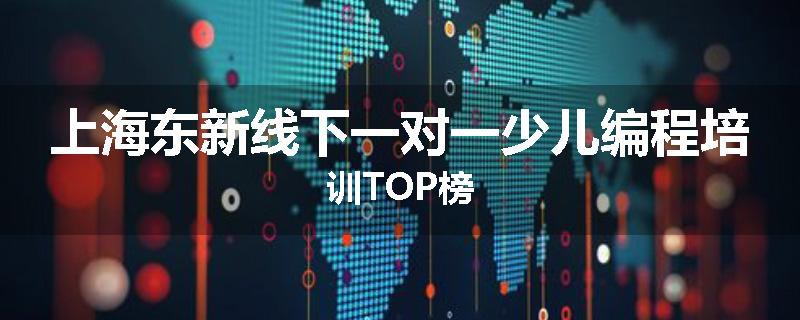 上海东新线下一对一少儿编程培训TOP榜