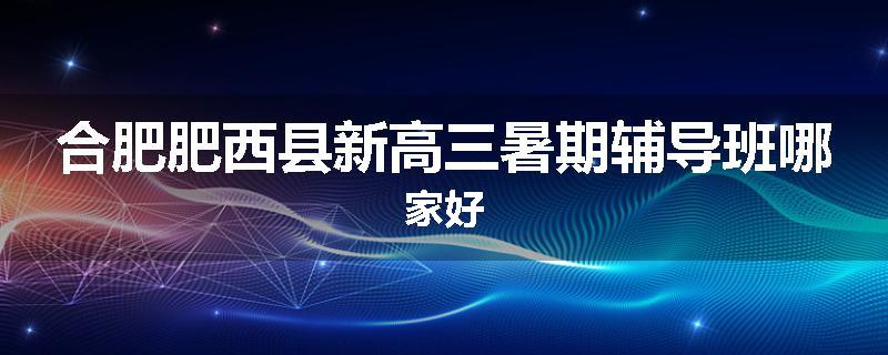 合肥肥西县新高三暑期辅导班哪家好