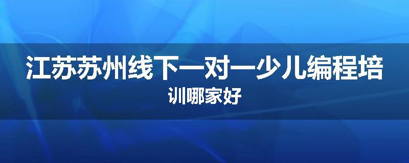 江苏苏州线下一对一少儿编程培训哪家好