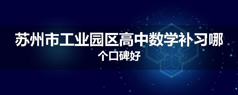 苏州市工业园区高中数学补习哪个口碑好