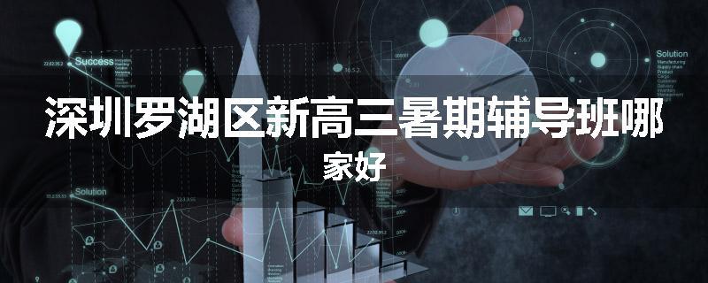 深圳罗湖区新高三暑期辅导班哪家好