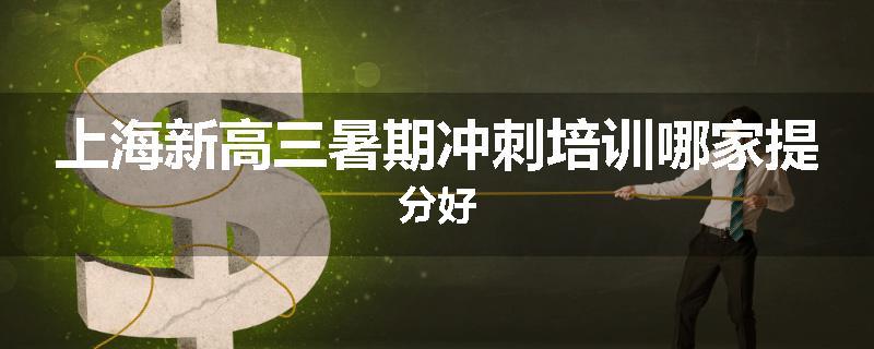 上海新高三暑期冲刺培训哪家提分好