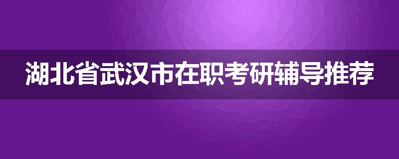 湖北省武汉市在职考研辅导推荐