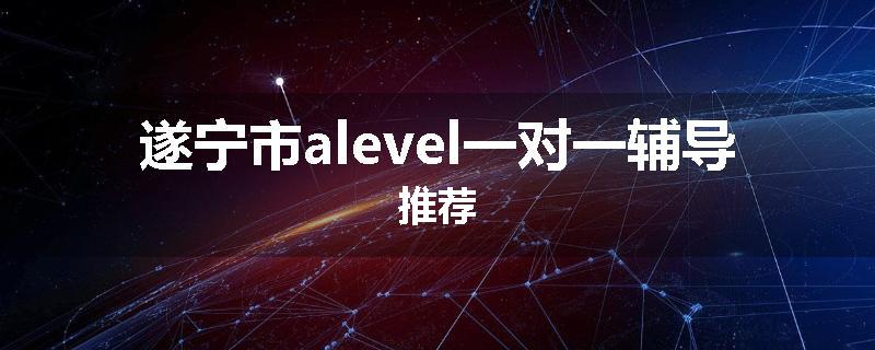 遂宁市alevel一对一辅导推荐