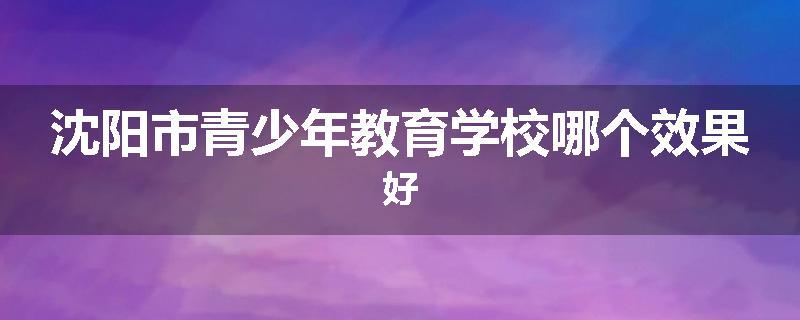 沈阳市青少年教育学校哪个效果好
