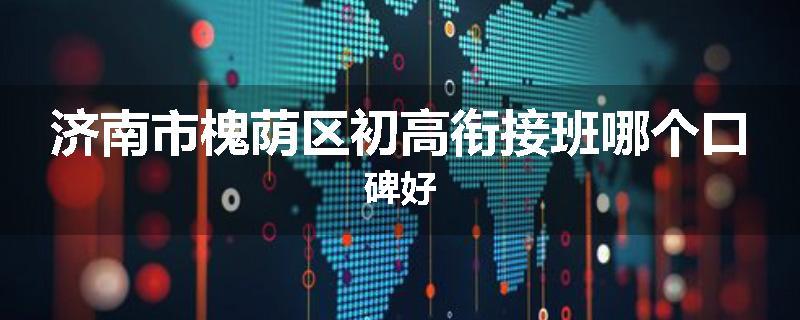 济南市槐荫区初高衔接班哪个口碑好