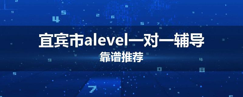 宜宾市alevel一对一辅导靠谱推荐