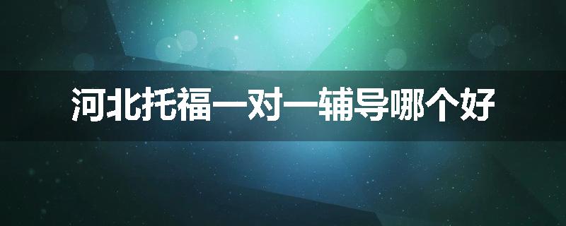 河北托福一对一辅导哪个好