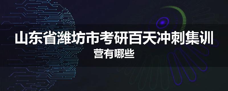 山东省潍坊市考研百天冲刺集训营有哪些