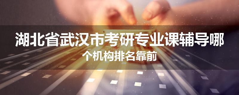 湖北省武汉市考研专业课辅导哪个机构排名靠前
