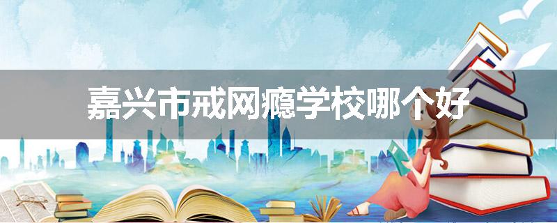 嘉兴市戒网瘾学校哪个好