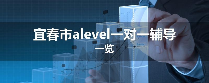 宜春市alevel一对一辅导一览