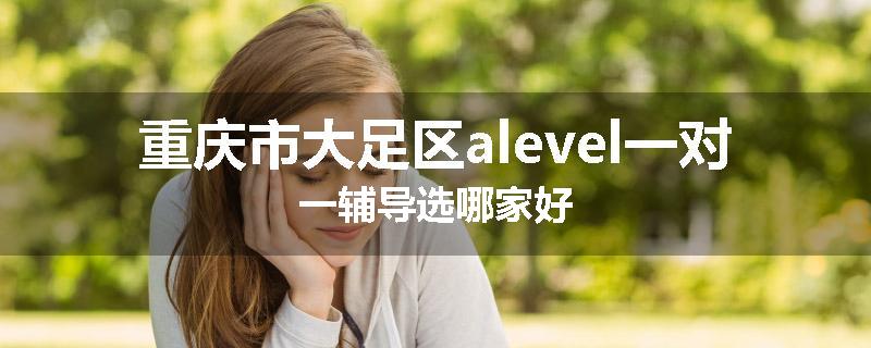 重庆市大足区alevel一对一辅导选哪家好