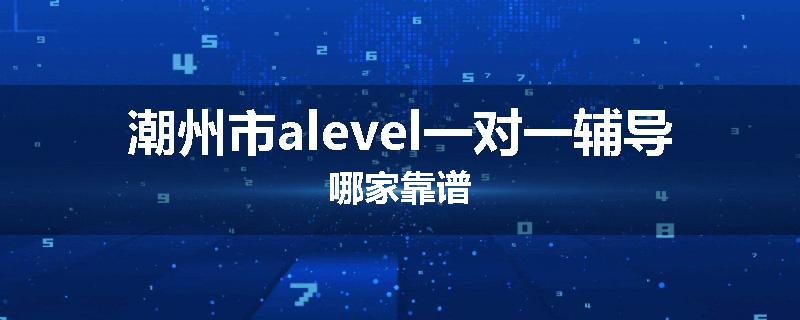潮州市alevel一对一辅导哪家靠谱