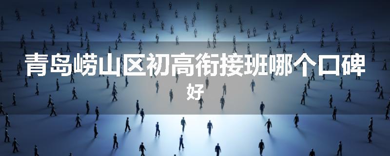 青岛崂山区初高衔接班哪个口碑好