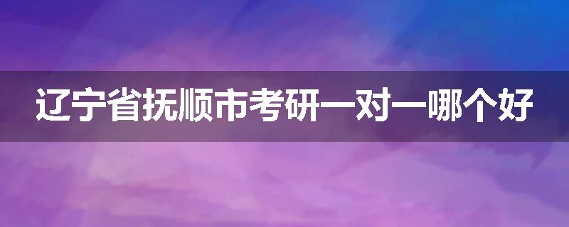 辽宁省抚顺市考研一对一哪个好