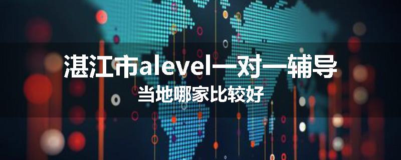 湛江市alevel一对一辅导当地哪家比较好