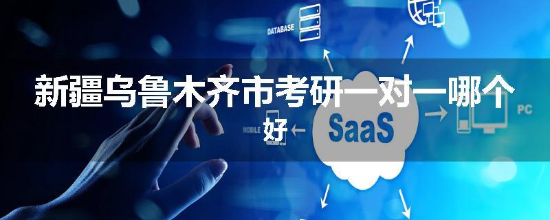 新疆乌鲁木齐市考研一对一哪个好