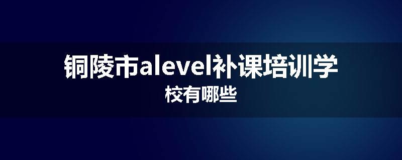 铜陵市alevel补课培训学校有哪些