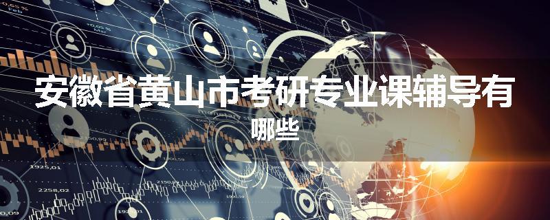 安徽省黄山市考研专业课辅导有哪些