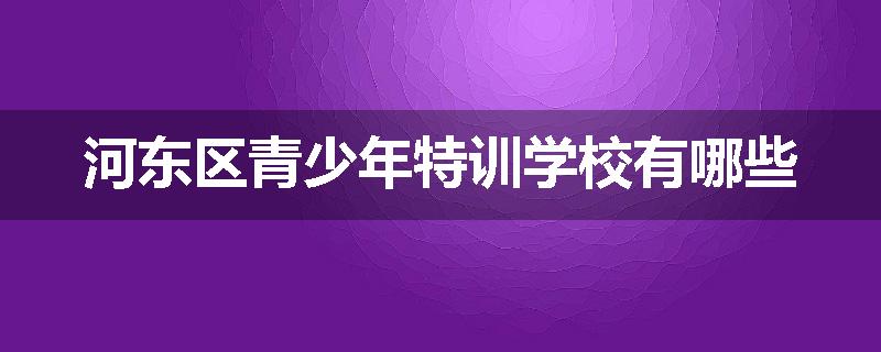 河东区青少年特训学校有哪些