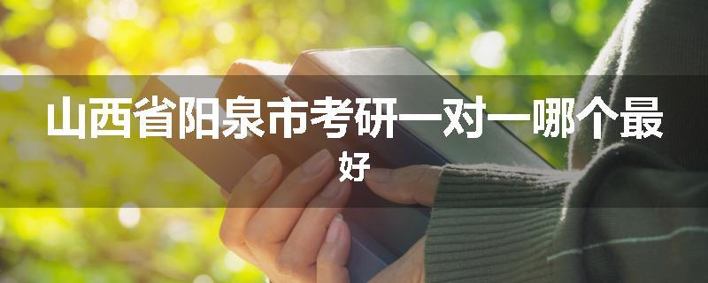 山西省阳泉市考研一对一哪个最好