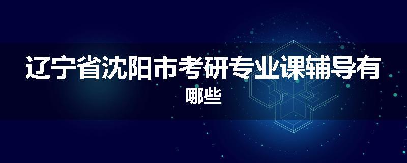 辽宁省沈阳市考研专业课辅导有哪些