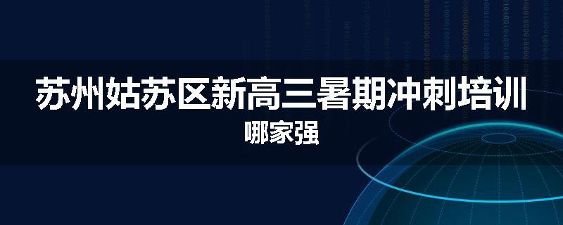 苏州姑苏区新高三暑期冲刺培训哪家强