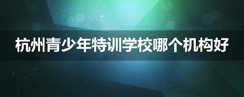杭州青少年特训学校哪个机构好