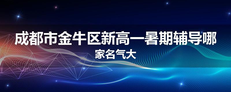 成都市金牛区新高一暑期辅导哪家名气大