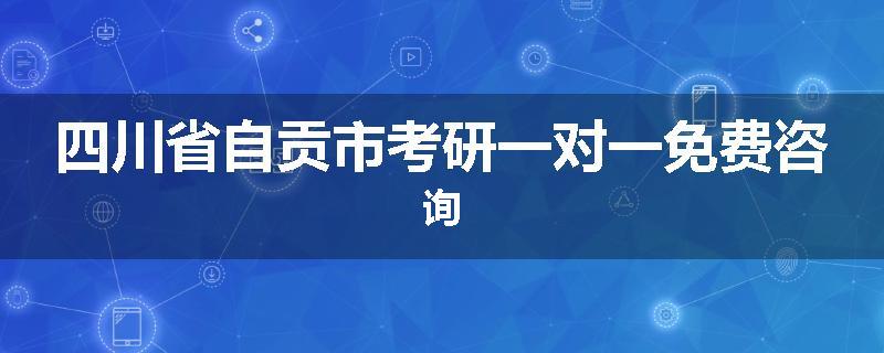 四川省自贡市考研一对一免费咨询