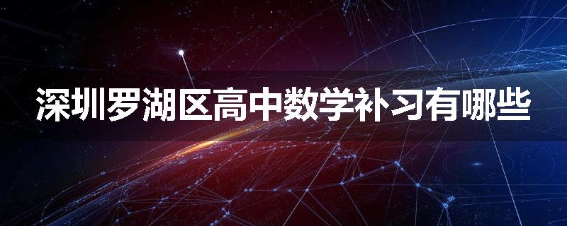 深圳罗湖区高中数学补习有哪些