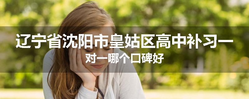 辽宁省沈阳市皇姑区高中补习一对一哪个口碑好