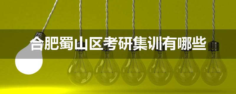 合肥蜀山区考研集训有哪些