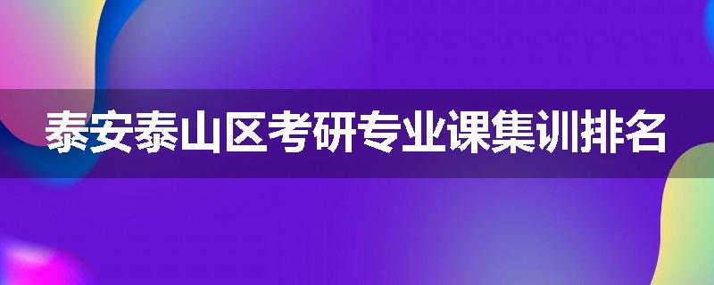 泰安泰山区考研专业课集训排名
