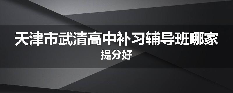 天津市武清高中补习辅导班哪家提分好