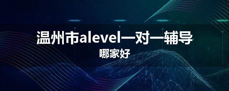 温州市alevel一对一辅导哪家好