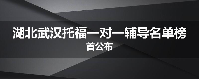 湖北武汉托福一对一辅导名单榜首公布