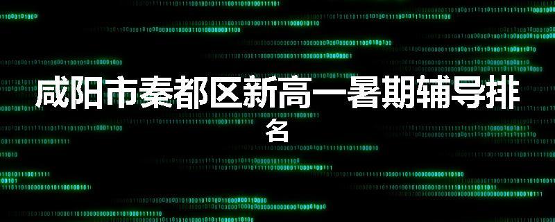 咸阳市秦都区新高一暑期辅导排名