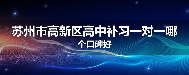 苏州市高新区高中补习一对一哪个口碑好
