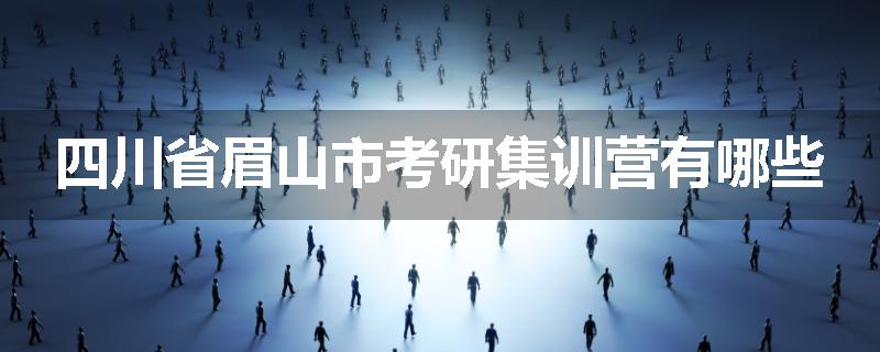 四川省眉山市考研集训营有哪些