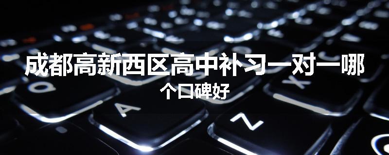 成都高新西区高中补习一对一哪个口碑好
