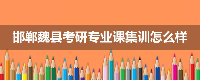 邯郸魏县考研专业课集训怎么样