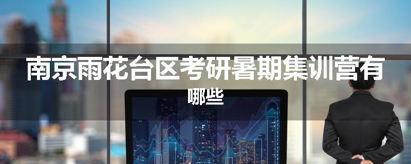 南京雨花台区考研暑期集训营有哪些