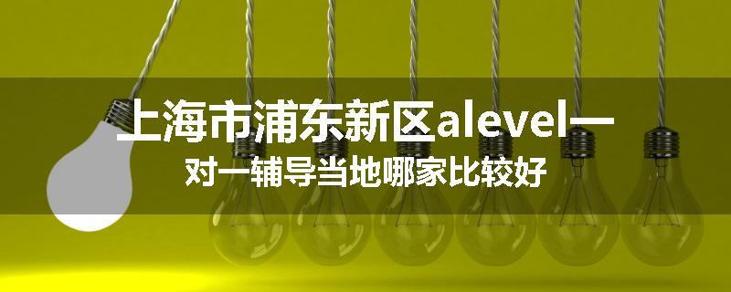 上海市浦东新区alevel一对一辅导当地哪家比较好