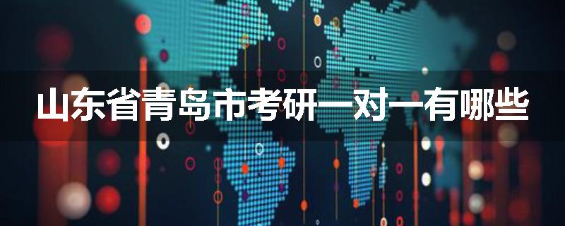山东省青岛市考研一对一有哪些