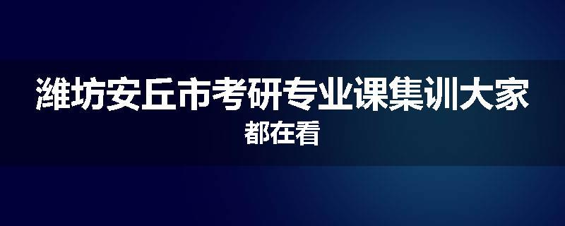 潍坊安丘市考研专业课集训大家都在看