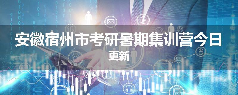 安徽宿州市考研暑期集训营今日更新