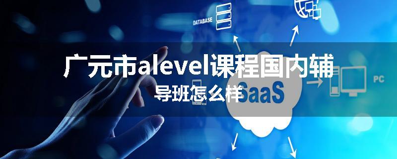 广元市alevel课程国内辅导班怎么样